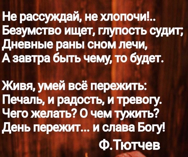 Не рассуждай не щрёочиъ Безумство ищет г бсть судит дневные раны сном печи Живяумей всё п Печалвіи радость Чего желать 0 чем тужить день пережитЁ и слава Богу ФТютчев
