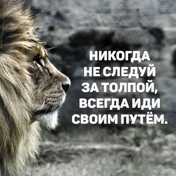никогдА нв следуй ЗА талией всвгдд ид_и своим путём с