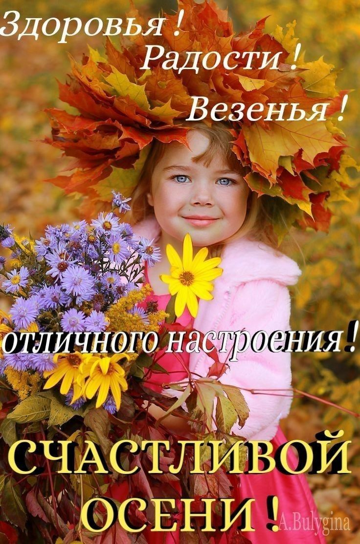 Здоровья Радости В звенья