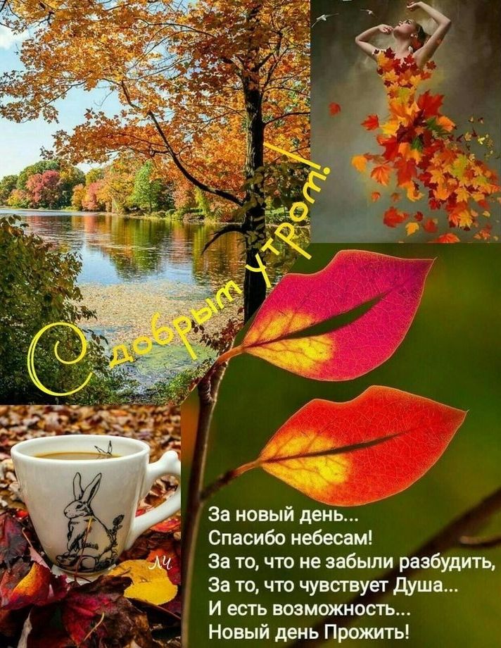 За новый день Спасибо небесам За то что не забыли разбудить За то что чувствует душа и есть возможность Новый день Прожить