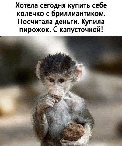 Хотела сегодня купить себе колечко бриллиантиком Посчитала деньги Купила пирожок С капусточкой