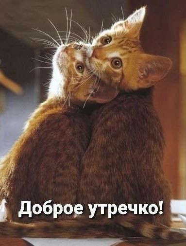 доброр утречко