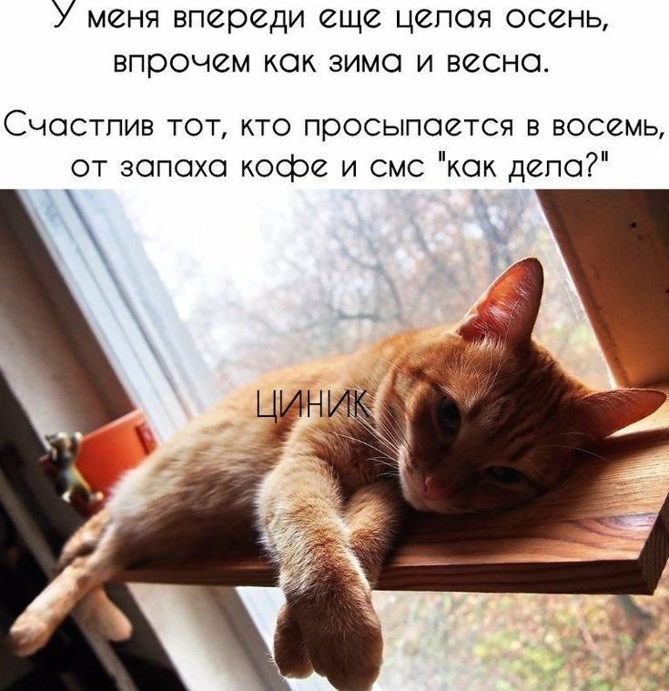 У меня впереди еще цепоя осень впрочем КОК ЗИМО И ВЗСНО СЧОСТПИВ ТОТ КТО просыпается В ВОССМЬ от зопохо кофе и смс кок депо