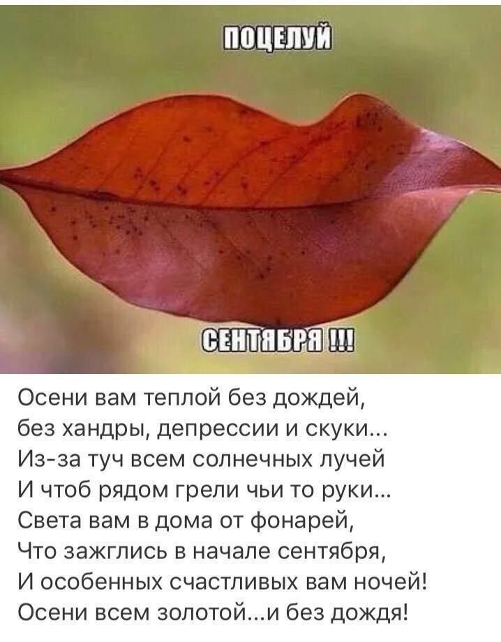 ПОЦЕЛУЙ пвг Осени вам теплой без дождей без хандры депрессии и скуки Изза туч всем солнечных лучей И чтоб рядом грели чьи то руки Света вам в дома от фонарей Что зажглись в начале сентября И особенных счастливых вам ночей Осени всем золотойи без дождя