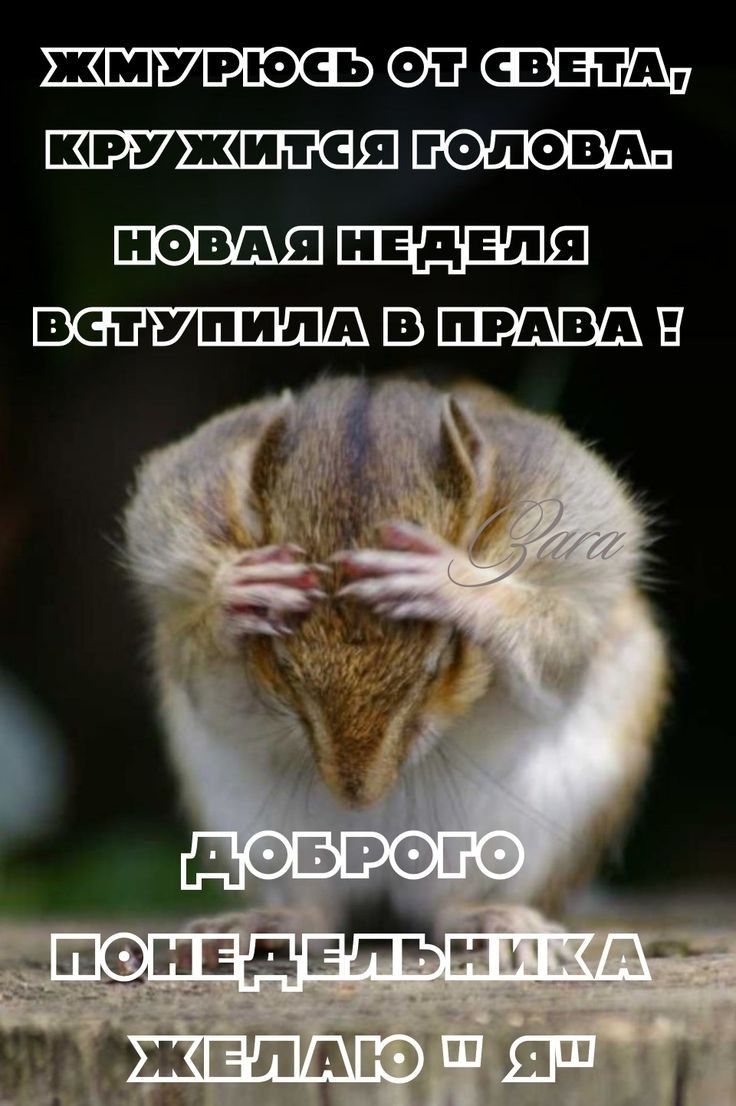 ЕЕЩ7 Я ВШЕ