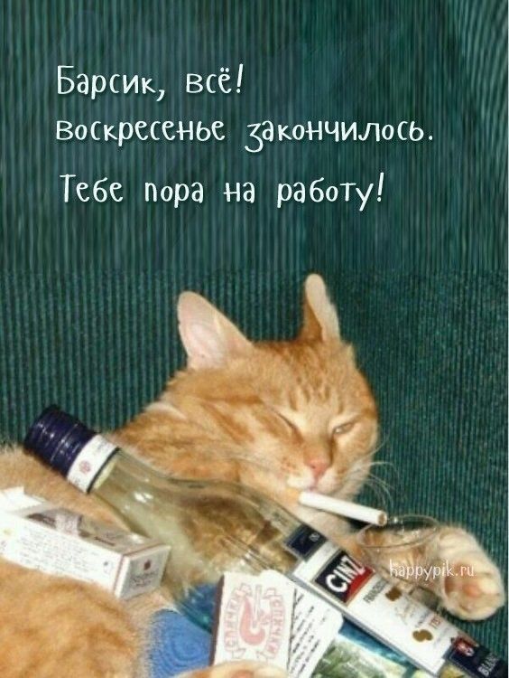 Барсщ всё ВОСКРСССНЬС за КОНЧИЛО Ь Тебе пора на работу