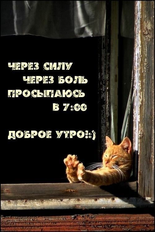 ЧЕРЕЗ силу ЧЕРЕЗ БОЛЬ _ просыпаюсь В дОБРОЕ УЕРбізі