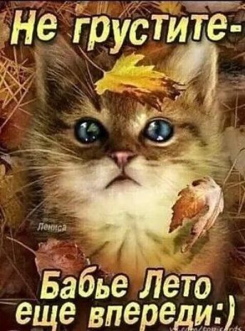 _ 111 г іё т Бабье Лето еще вперед