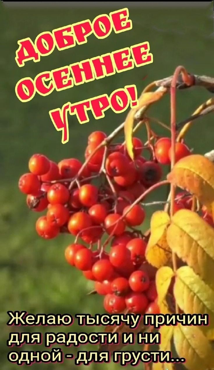гім _ г О тъ Желаютьысдчупричин для радоёти и ни Одной Ълягруёт