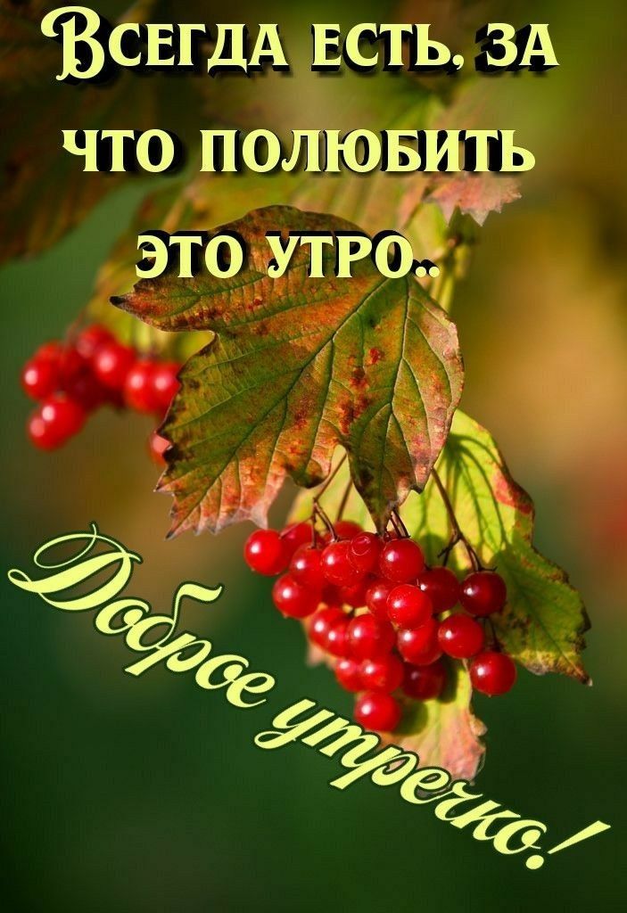 ВСЕГДА дасть ЗА что подтяййдэв у