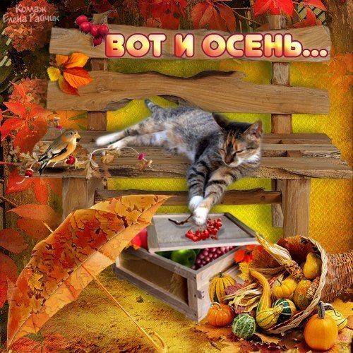 Соса  7  увотмосеньй ж ет оао щ ее