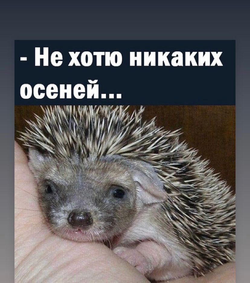 Не хотю никаких осеней