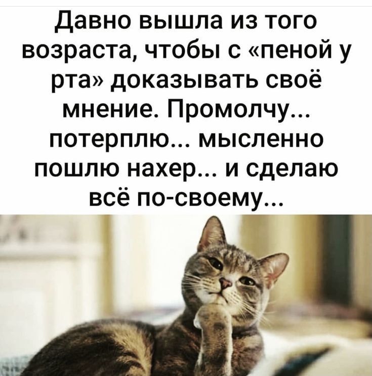 Давно вышла из того возраста чтобы с пеной у рта доказывать своё мнение Промолчу потерплю мысленно пошлю нахер и сделаю всё по своему