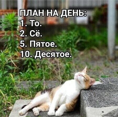 ПЛАН НА ДЕНЬ ч То ь 512 Сё Ё5 Пятое 10 десятое а Хэви