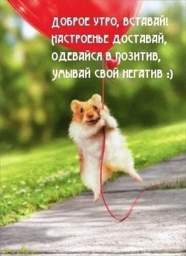 довго то в пистгоппь доставпй одшйсн цозитив упывдй свой жгптив