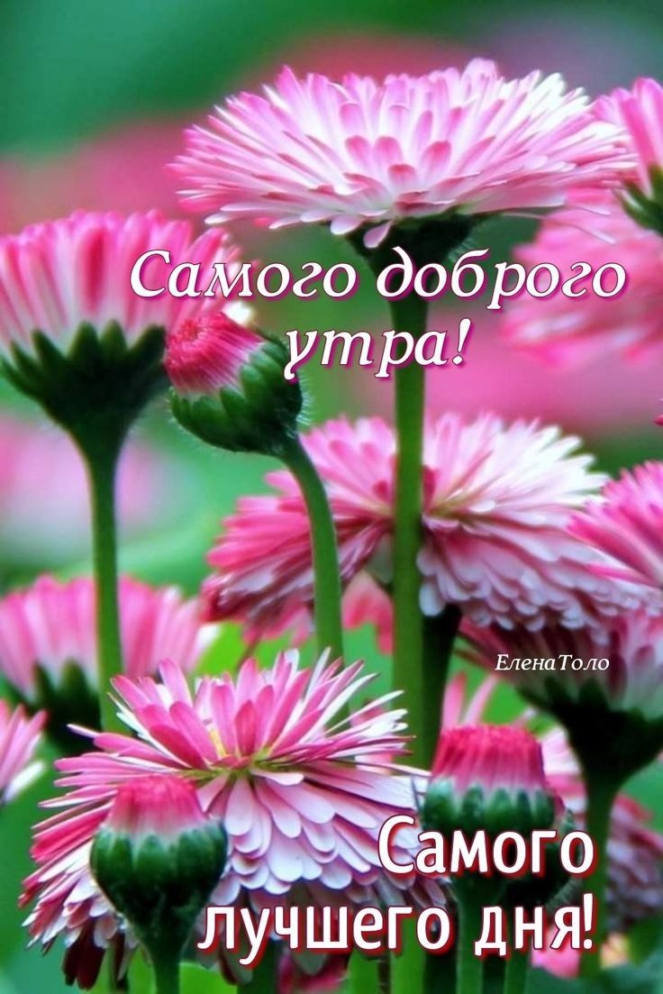 _ і ого добр _о ь Ё Эти _ а Самого л цчшегб ня ЦУ Д Ь Ч