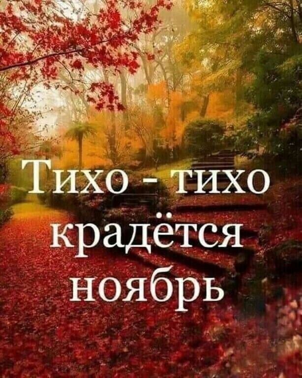 ТИХО тихо крадётся _ Ноябрь