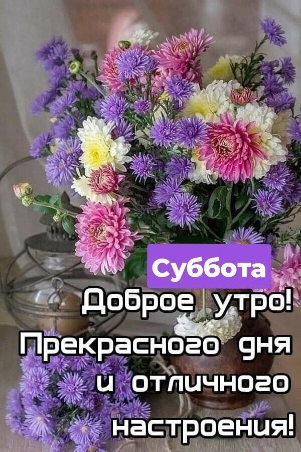Суббота ЧЩ ЁЁбраегугроЁ очня иготпичного д _роения