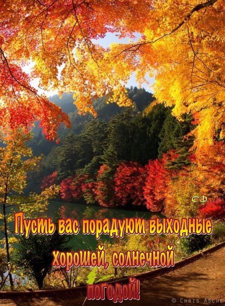 нчіз Фэст