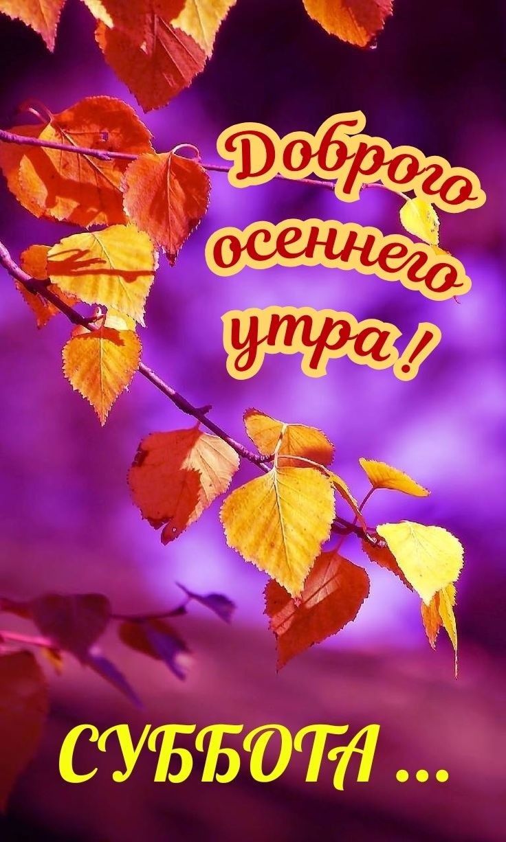 СУБЬППі