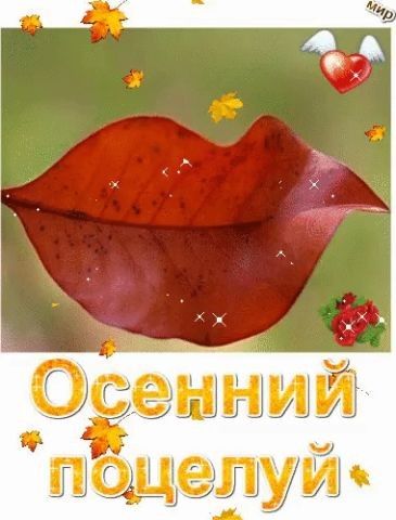 ОЁешнмй кюмелуиъ