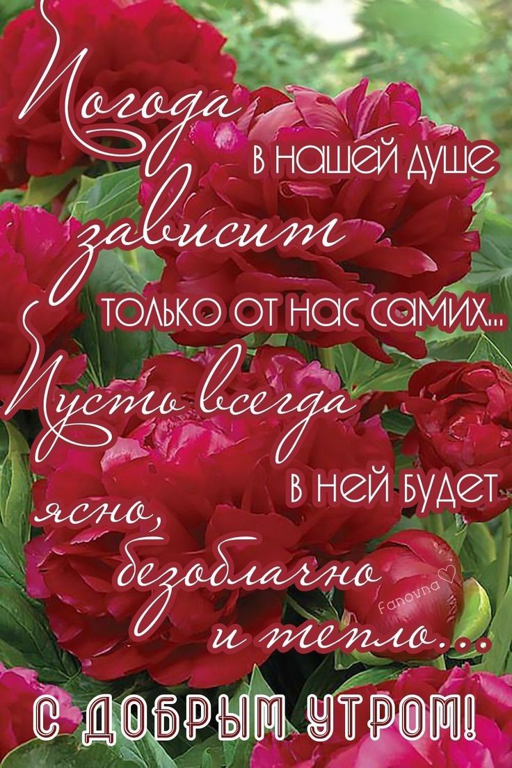ко 91Н0ссамижі АЬ 743 ч ТО в ней Будет Т Чь