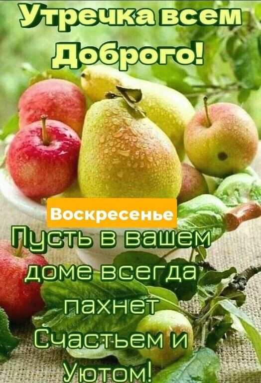 пахнеі ЧЭСТ ЬЕМ И Уютом