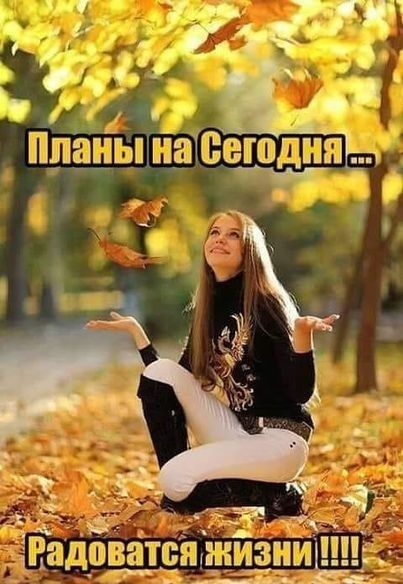 л 4 аны на сегодня ш  рои