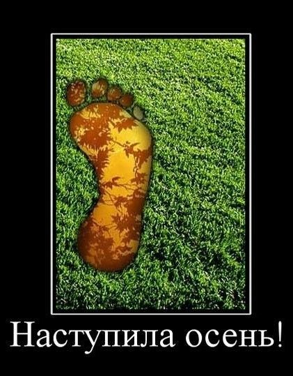 Наступила осень