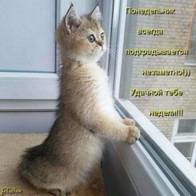Г Канализации на мзгэшГ штл таб Ы падали