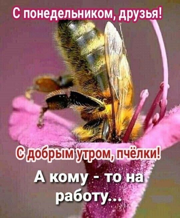 С понеделы пиком друзья
