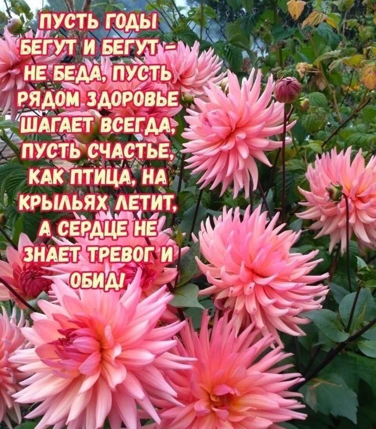 усть Нах Жцтд ввгутиввгутъ гНЕБЕТЬ ряи_ здоровье ЙАгАЕт всегдАэ _ пусть сацты _ КАК ПТИЦА НА 41 КРЫАЬЯХ АЕТ ИТ
