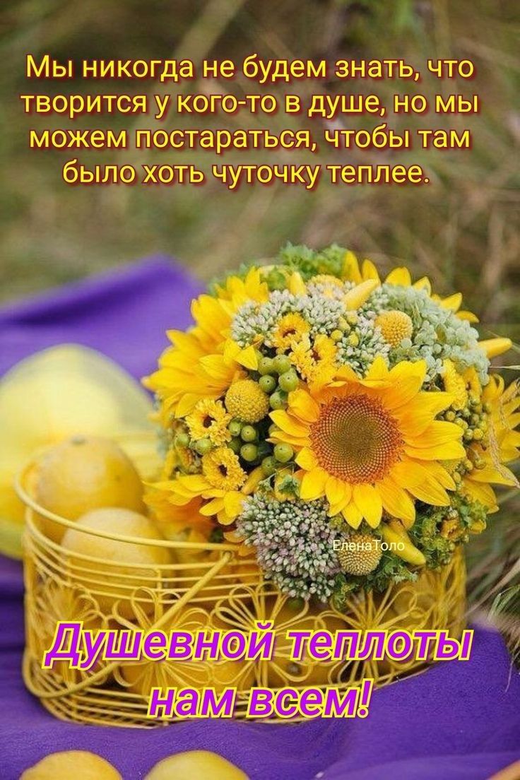 Мы никогда не будем знать , что творитсяу коготов душе, но мы можемитпостараться, чтобы там былохоть!