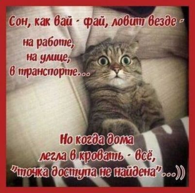 7 он как 631 орды ладит Везде на работе на улицу легш 6 куоаать всё 6 _пц1піеплаидена