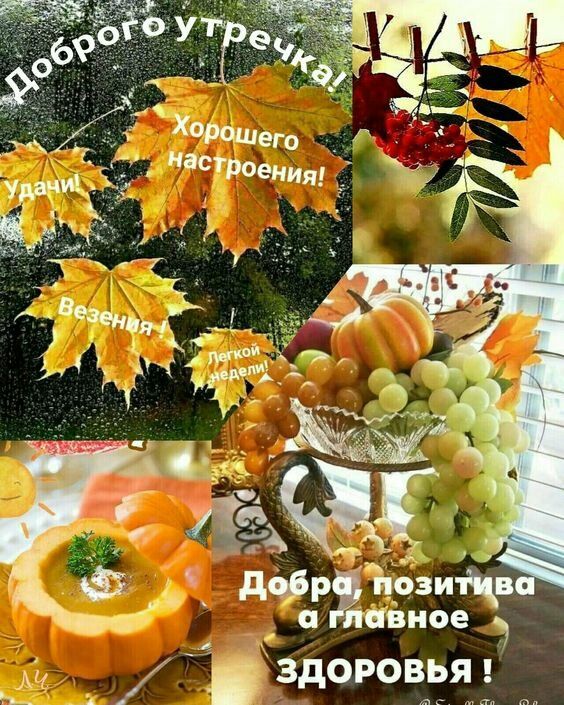 ЁВНОЕ здачи