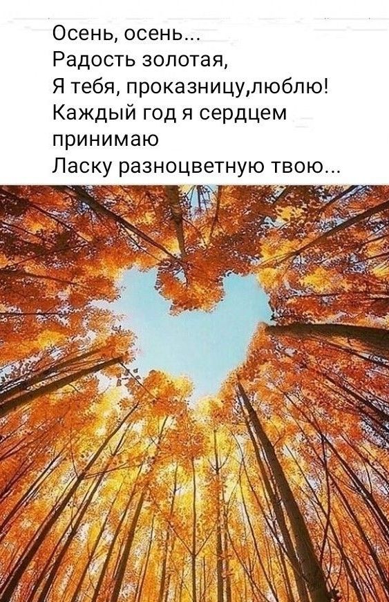 Осень осень Радость золотая Я тебя проказницулюблю Каждый год я сердцем принимаю Ласку разноцветную твою