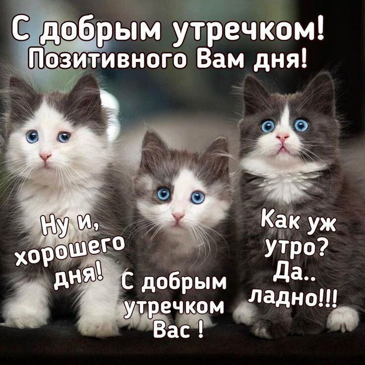 С добрым утречком _ Пачзци т ивного Вам дня