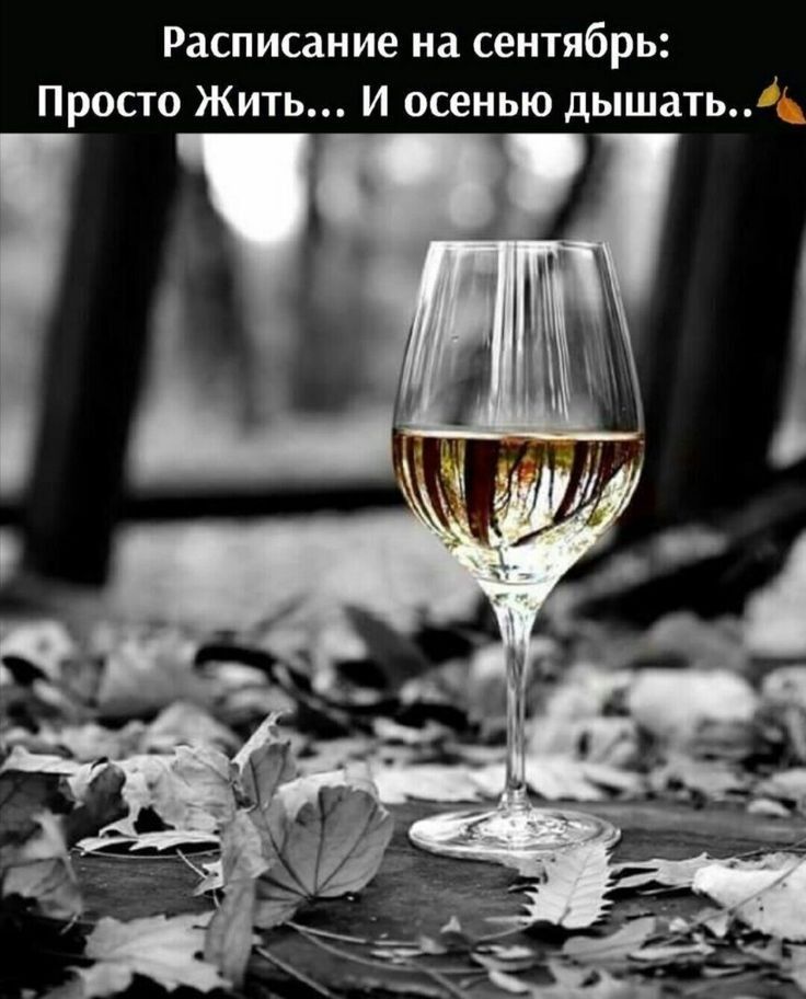 Расписание на сентябрь Просто Жить И осенью дышатьд