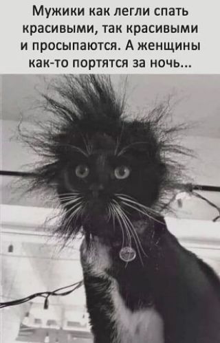 Мужики как легли спать красивыми так красивыми и просыпаются А женщины как то портятся за ночь Я И