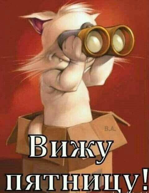 ВМЖ пяттйцу