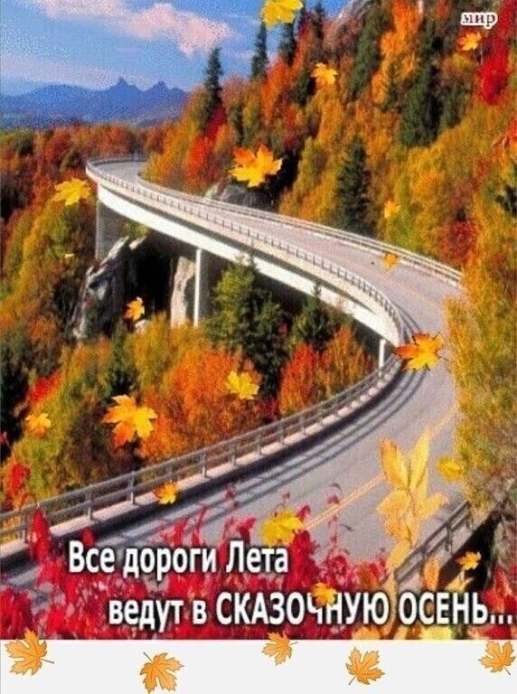 5 ё _ ВЁЁЁЁЁЁГИ Лета гт ведутвскдзондуюёосвйь