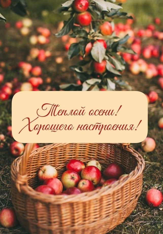 ждаЮй даши шшеш настшааш