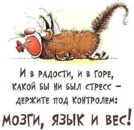 _ И в РАДОСТИ и в горе КАКОЙ вы ни выл ТРЕсс ДЕРЖИТЕ под Контролгм Мозги язык и ввс