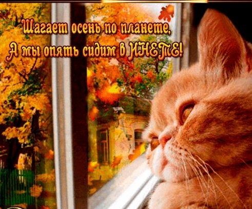 Шагаети осен ' еь га къпопатть спдт бён;