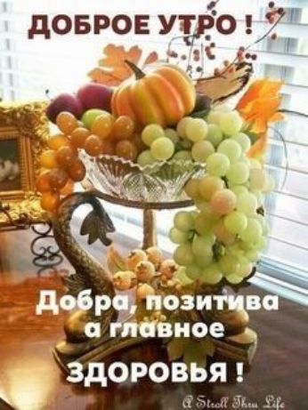 довров Уфо яС додрц Эдди в _ ставное здоровья