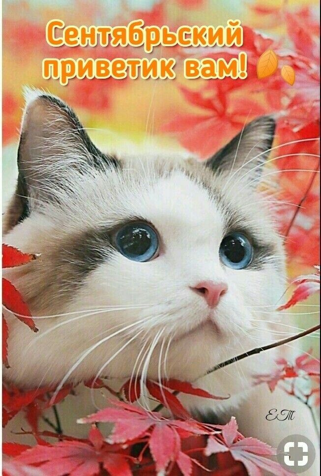 _ Г 1 г 1_Г_ииц 3 мм 4_