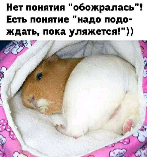 Нет понятия обожралась Есть понятие надо подо ждать пока уляжется в Х