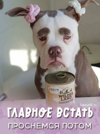 а г Ь ЫШШЕ ЗЗЫЮ гшоснгмсы излом