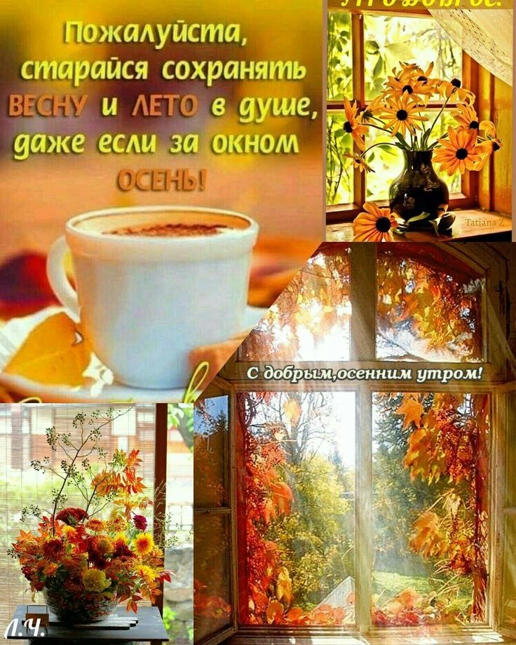 під М и и _ да сохра