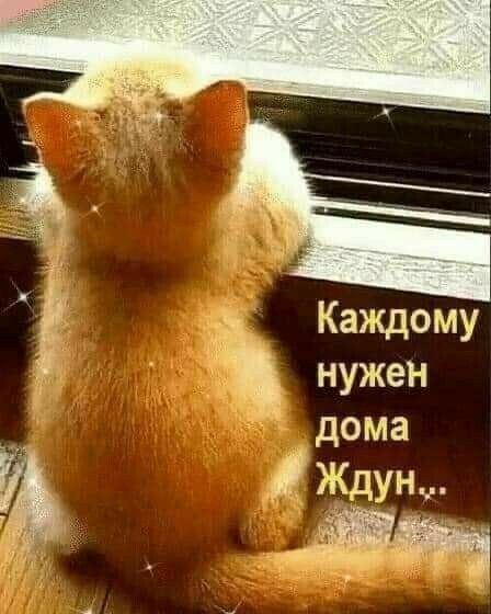 Каждому нужен